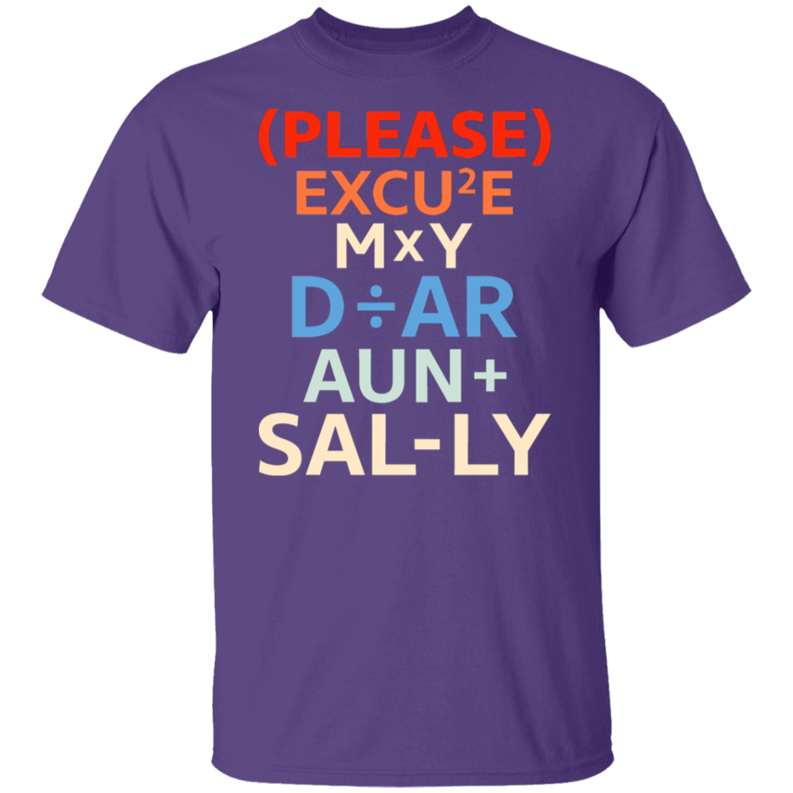 Funny Math Teacher Shirt - PEMDAS 'Please Excuse My Dear Aunt Sally' Inside Joke Tee
